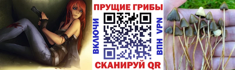 Галлюциногенные грибы MAGIC MUSHROOMS  Беломорск 